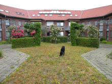 Der Garten vor der gartentherapeutischen Anpassung